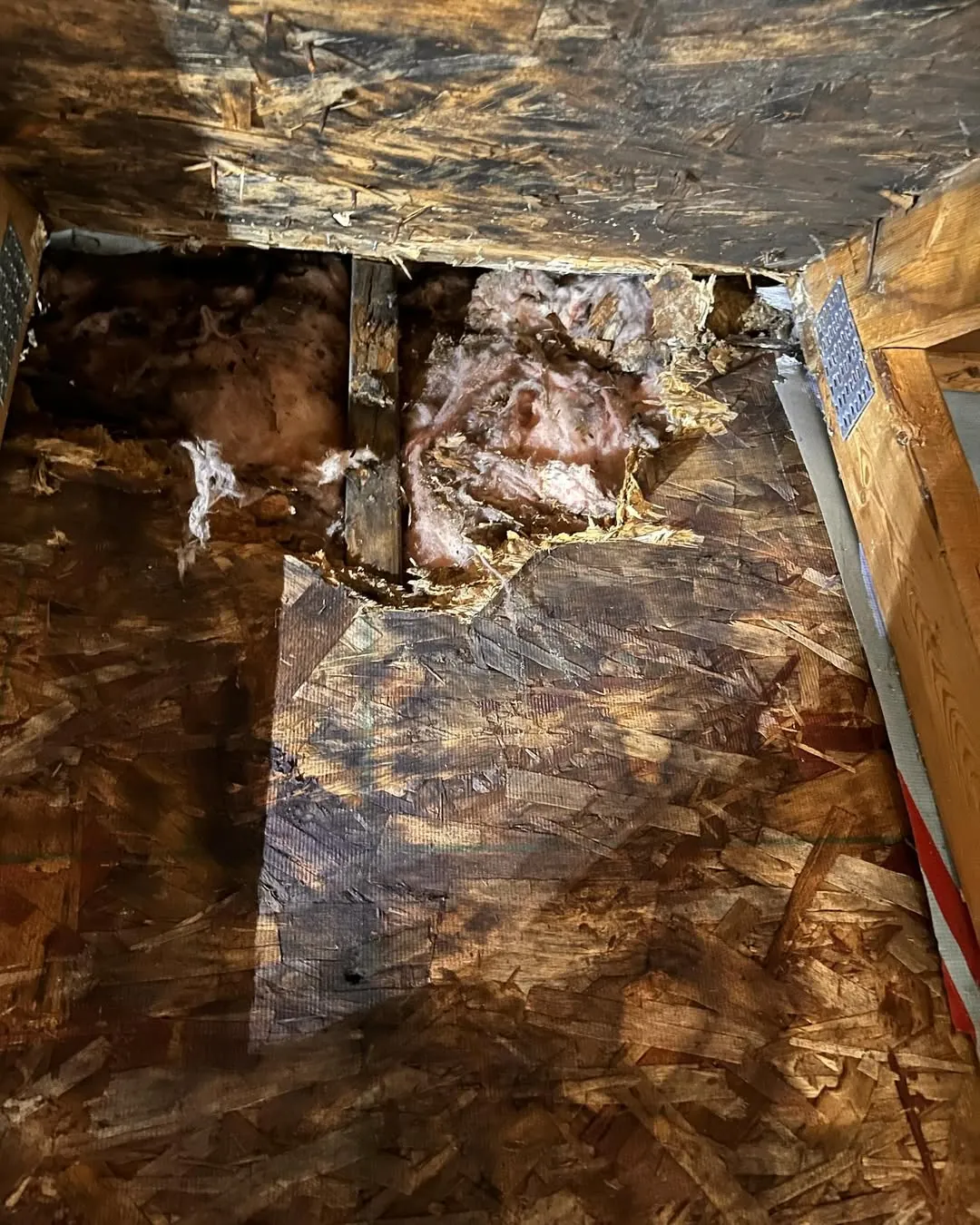 Window Replacement & Upgrade - Completed Window